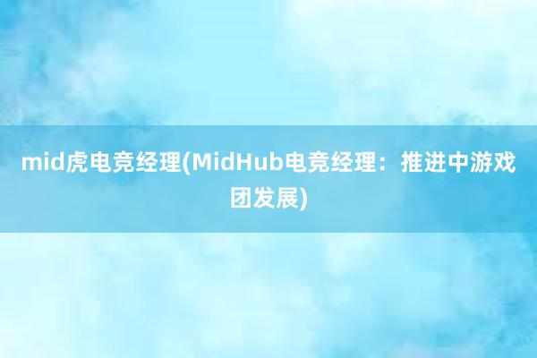 mid虎电竞经理(MidHub电竞经理：推进中游戏团发展)