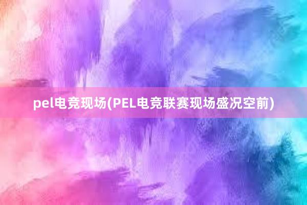 pel电竞现场(PEL电竞联赛现场盛况空前)