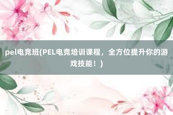 pel电竞班(PEL电竞培训课程，全方位提升你的游戏技能！)