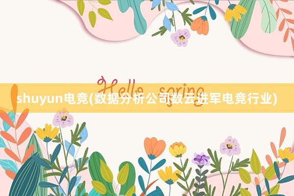 shuyun电竞(数据分析公司数云进军电竞行业)