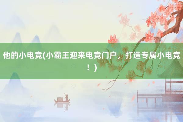 他的小电竞(小霸王迎来电竞门户，打造专属小电竞！)