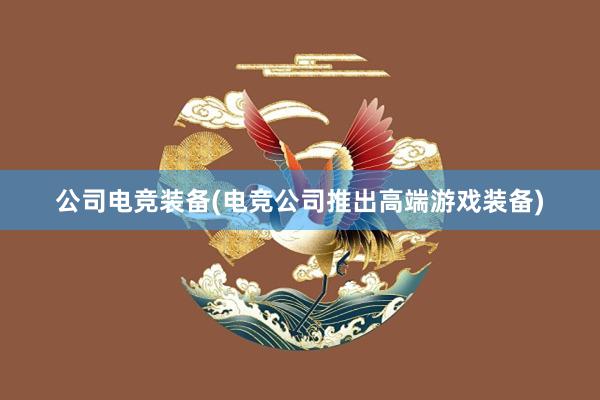 公司电竞装备(电竞公司推出高端游戏装备)