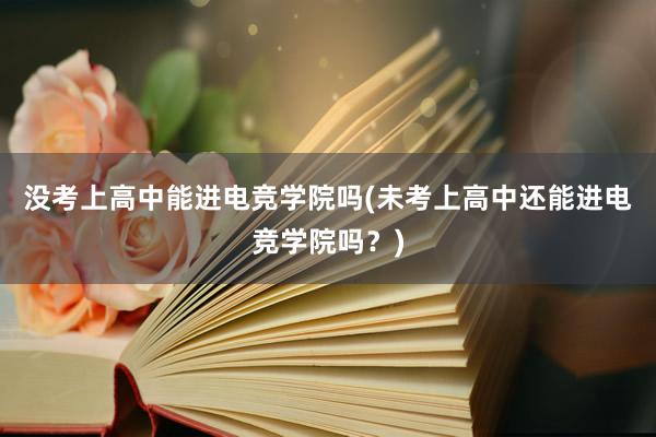 没考上高中能进电竞学院吗(未考上高中还能进电竞学院吗？)