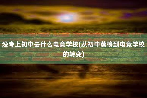 没考上初中去什么电竞学校(从初中落榜到电竞学校的转变)