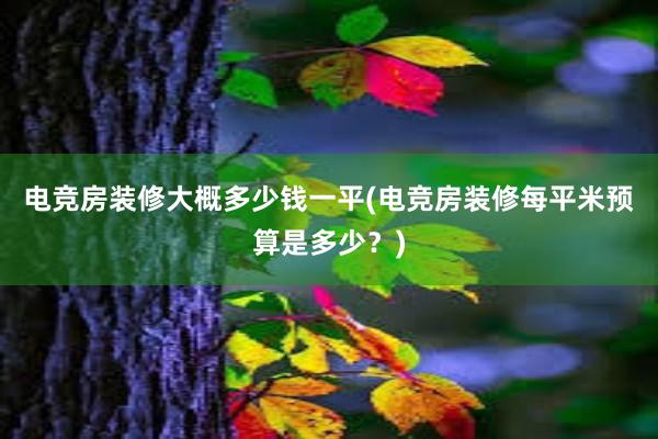 电竞房装修大概多少钱一平(电竞房装修每平米预算是多少？)