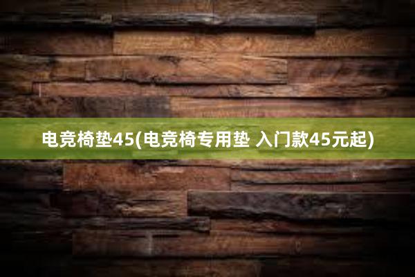 电竞椅垫45(电竞椅专用垫 入门款45元起)