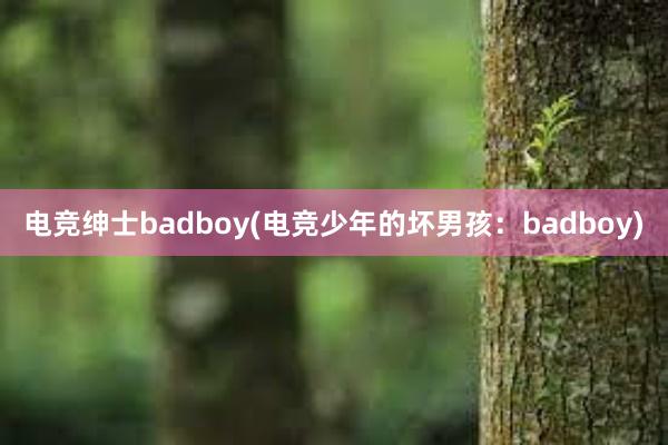 电竞绅士badboy(电竞少年的坏男孩：badboy)