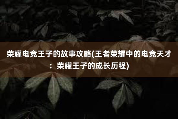 荣耀电竞王子的故事攻略(王者荣耀中的电竞天才：荣耀王子的成长历程)