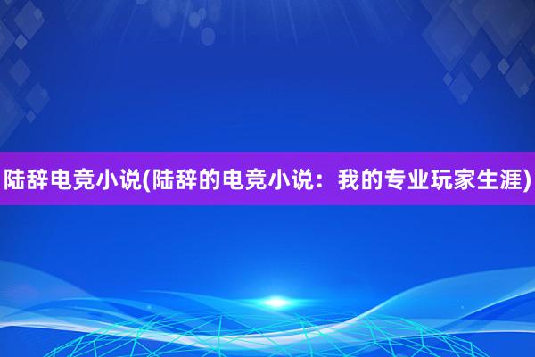 陆辞电竞小说(陆辞的电竞小说：我的专业玩家生涯)