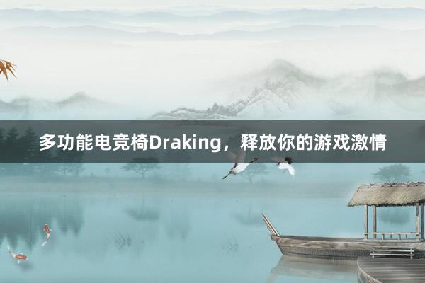 多功能电竞椅Draking，释放你的游戏激情