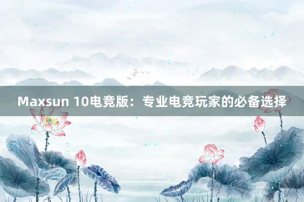 Maxsun 10电竞版：专业电竞玩家的必备选择