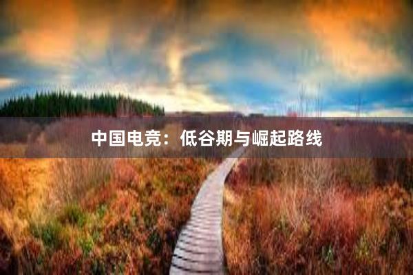 中国电竞：低谷期与崛起路线