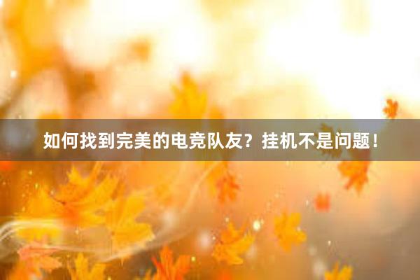 如何找到完美的电竞队友？挂机不是问题！