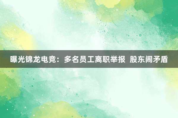 曝光锦龙电竞：多名员工离职举报  股东闹矛盾