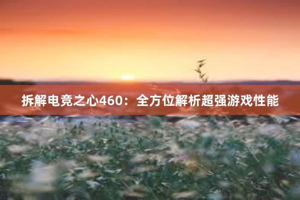 拆解电竞之心460：全方位解析超强游戏性能